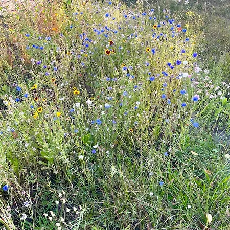 Horami - Namdo Mit Terrasse *